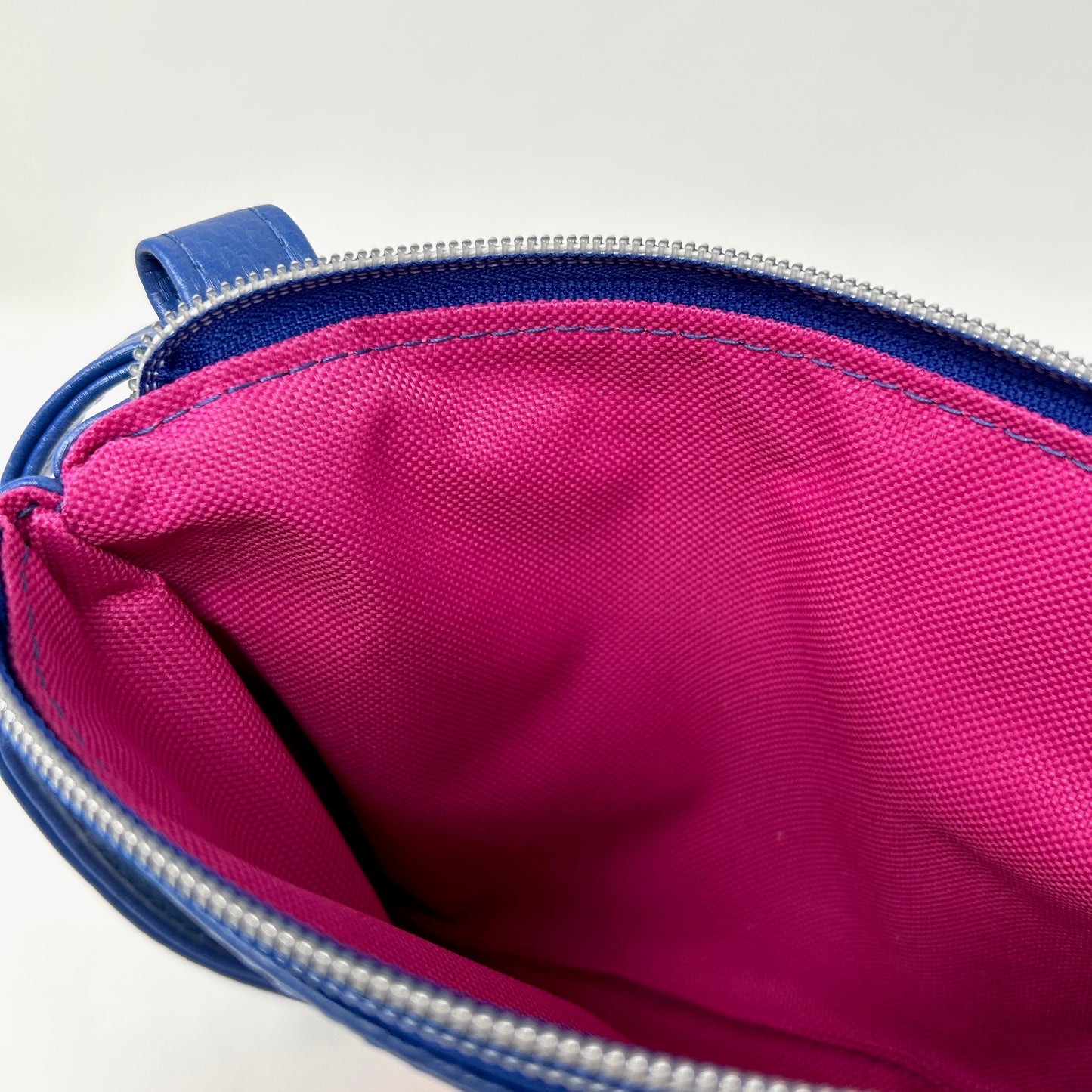 Blue Phone Sling/Crossbody Bag